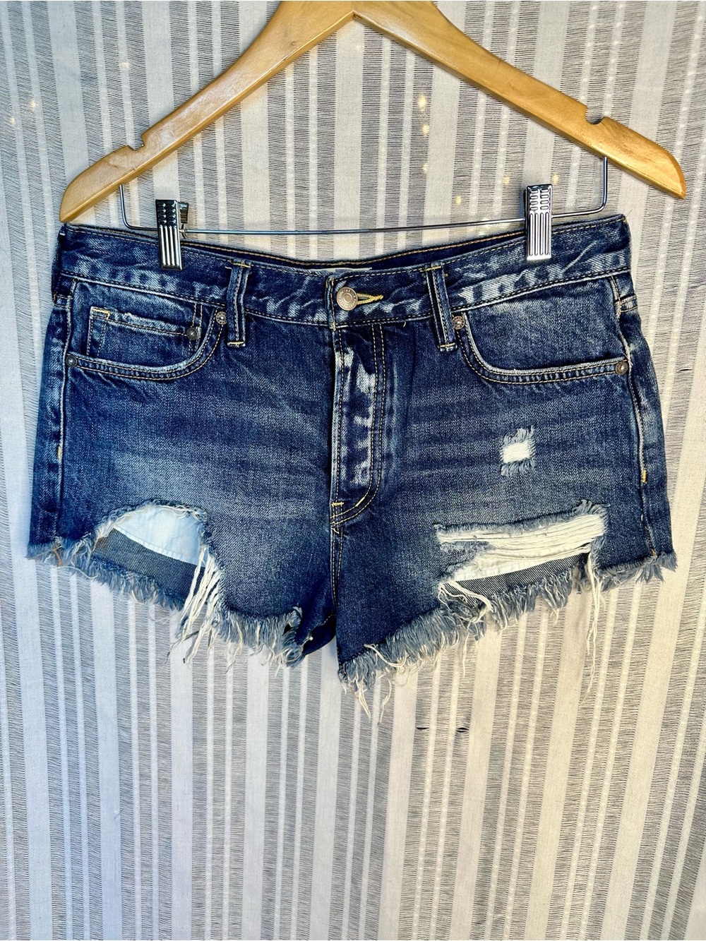 We The Free Distressed Denim Cutoff Shorts